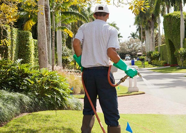 About Albion MI Pest Control Pros